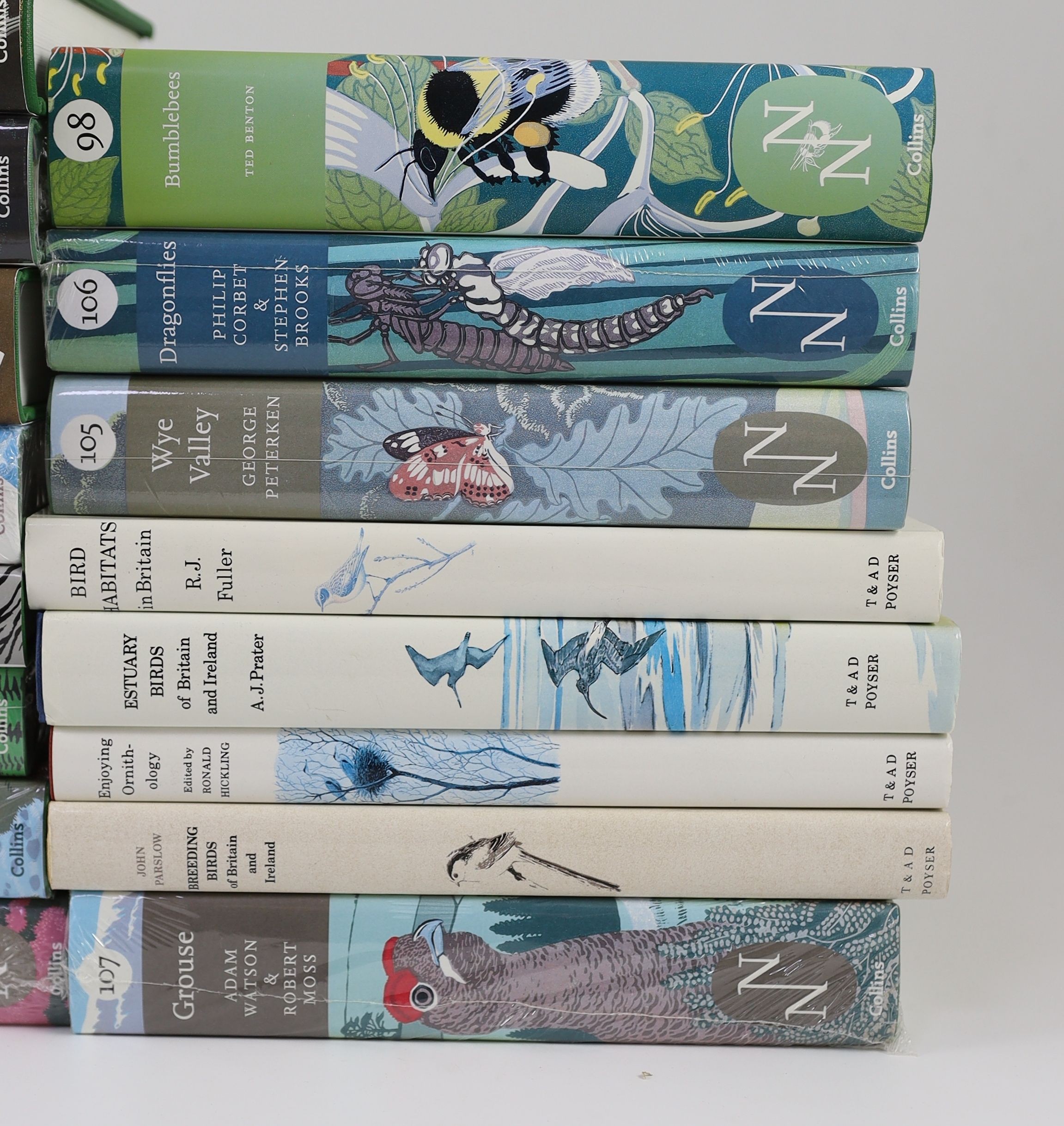 The New Naturalist Library - 12 mint tiles, all 1st editions:- Nos. - 94 Seahorse, 98 Bumblebees, 103 The Isles of Scilly, 104 A History of Ornithology, 105 Wye Valley, 106 Dragonflies, 107 Grouse, 110 Wildfowl, 111 Dart